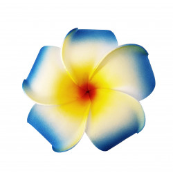 Квітка гавайська асорті