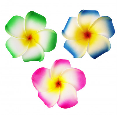 Квітка гавайська асорті