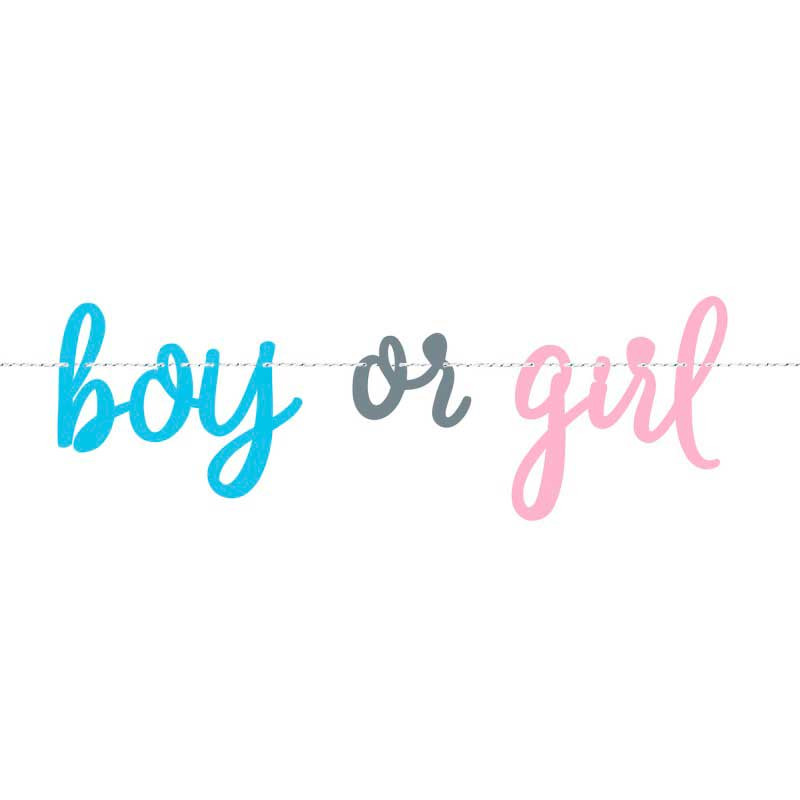 Гірлянда Girl or Boy