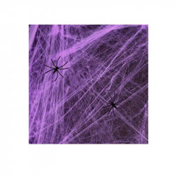 Павутина фіолетова з павуками