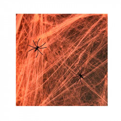 Павутина оранжева з павуками