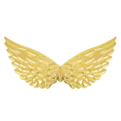 Крылья Ангела золотые